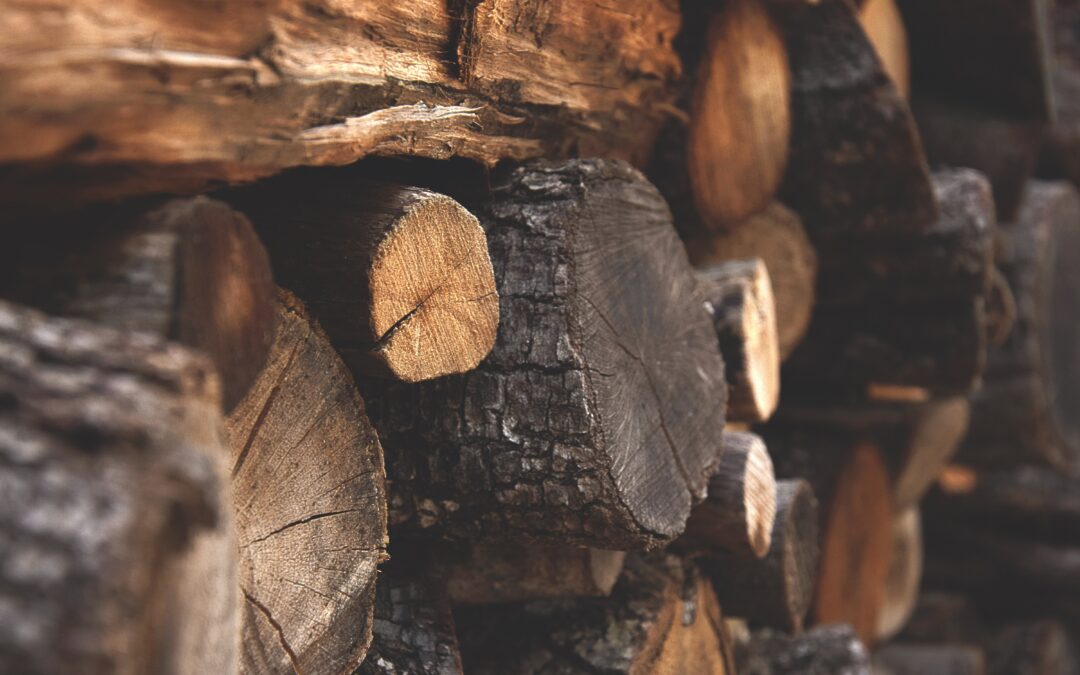 Nenechte se okrádat: Na co si dát pozor při koupi palivového dřeva